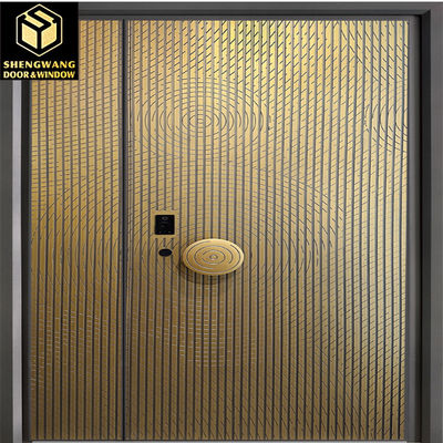 5mm chống trầy xước nhôm phủ cửa ngoài lớp học cửa trước nhôm hiện đại